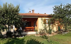 Apartman Lena Umag